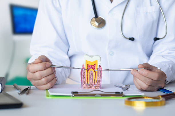 Best Mobile Emergency Dentist in El Centro, CA